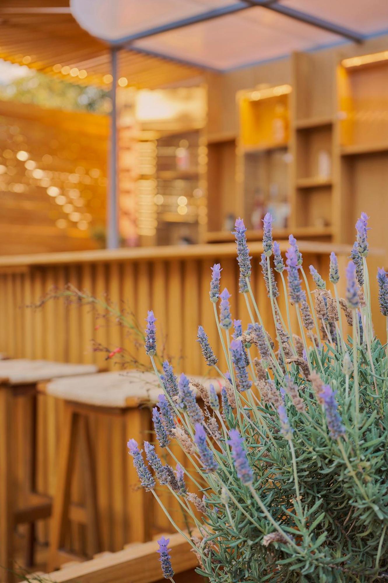 Hotel Materia Oaxaca 外观 照片